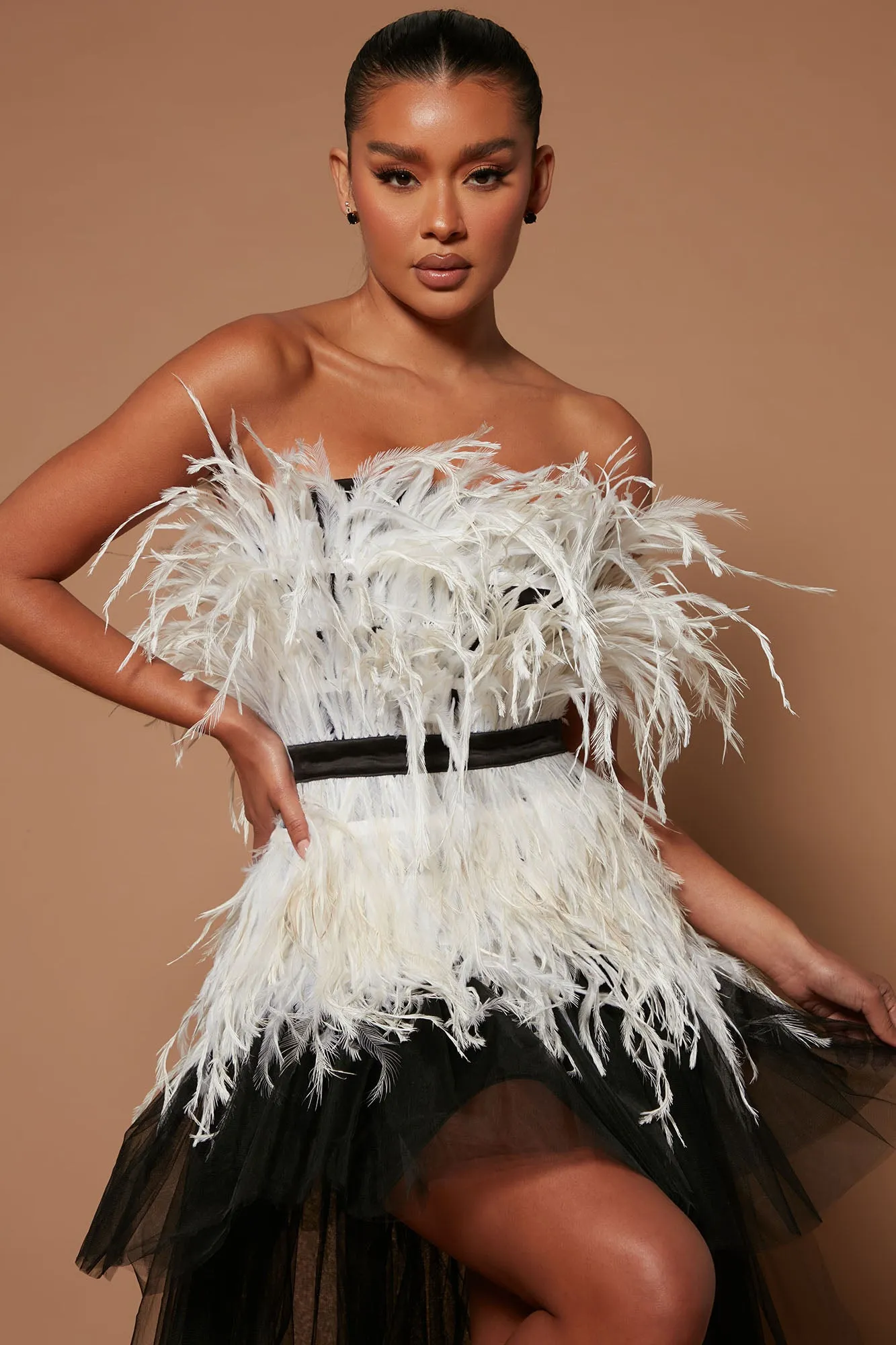 Angelica Feathered Tulle Gown - Black/combo