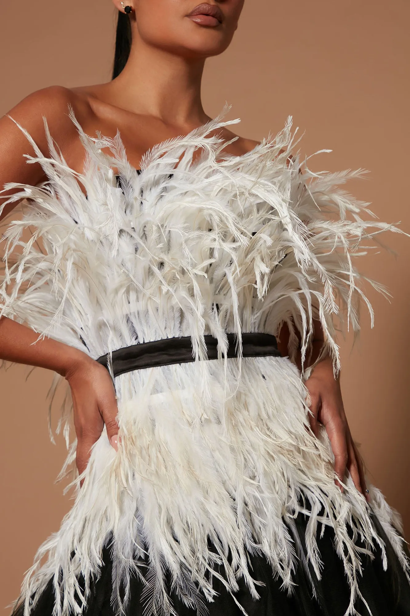 Angelica Feathered Tulle Gown - Black/combo