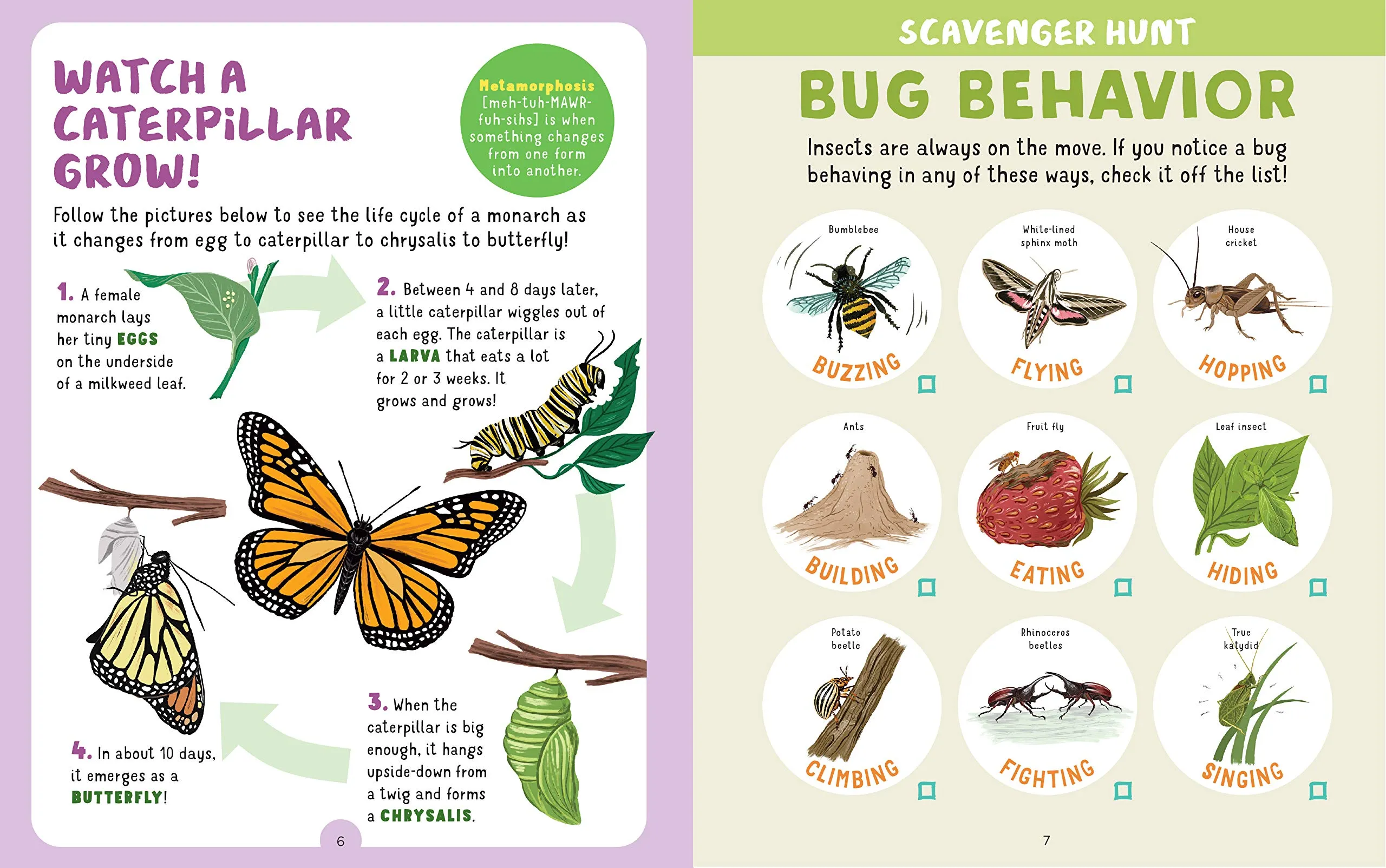 Backpack Explorer Bug Hunt