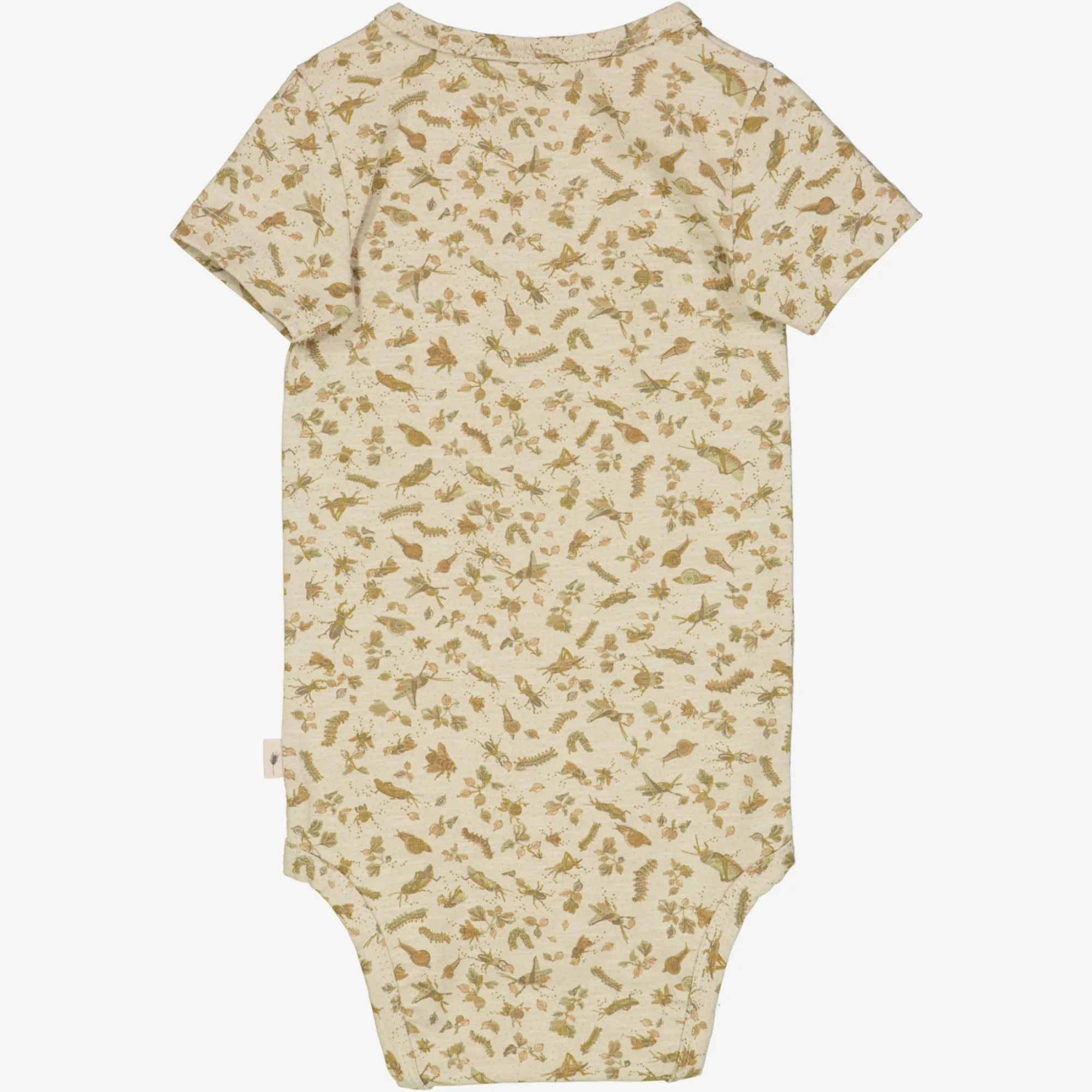 Body Plain SS - fossil insects
