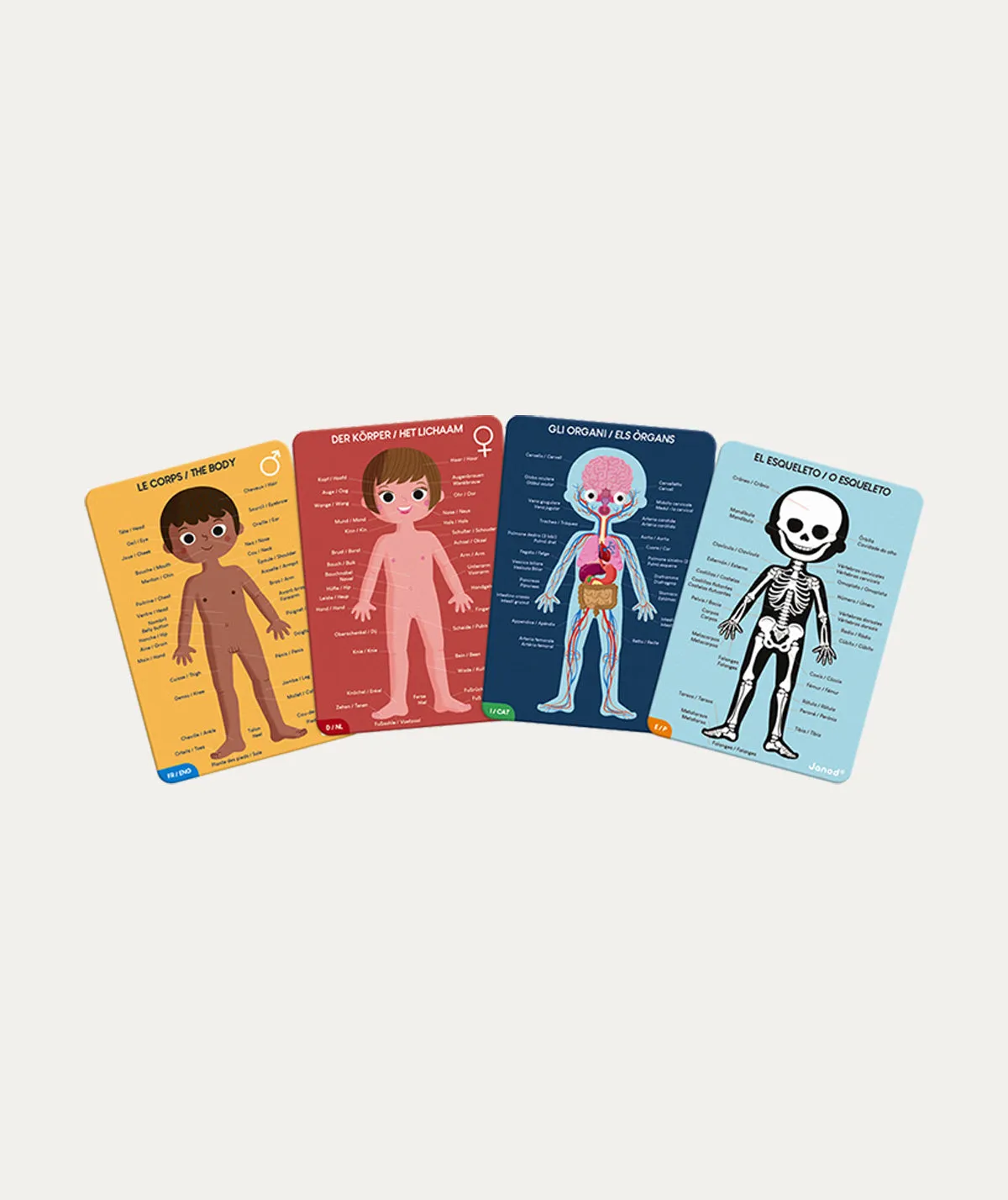 Janod Educational Puzzle Human Body