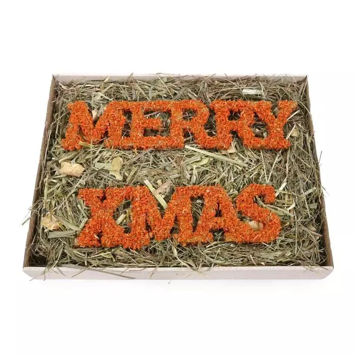 Merry Christmas Forage Tray