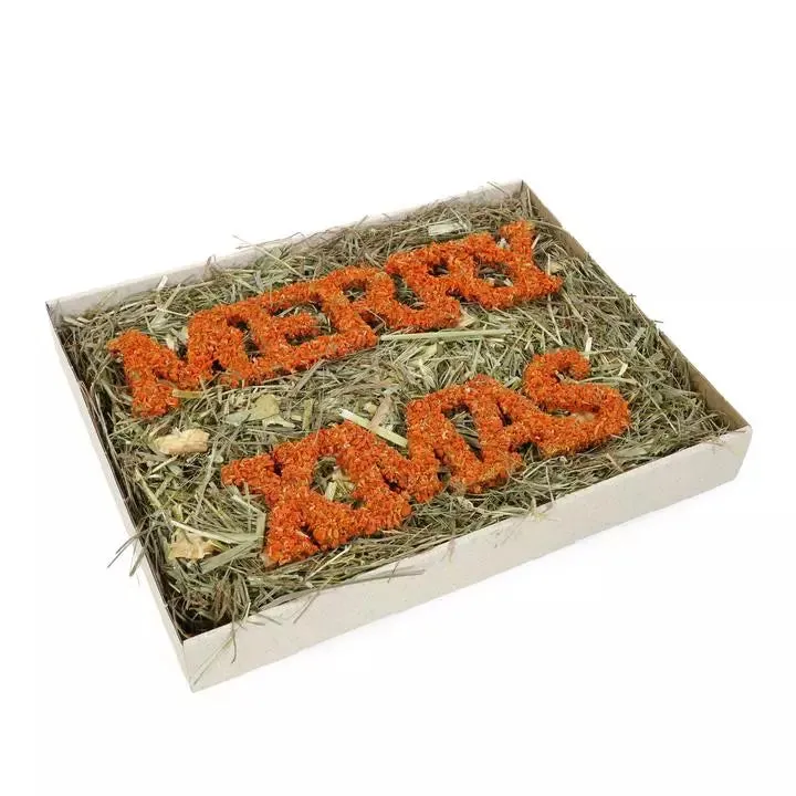 Merry Christmas Forage Tray