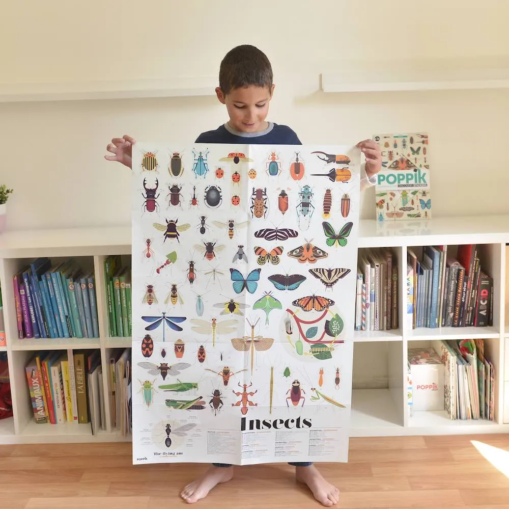 Poppik Discovery Poster Insects